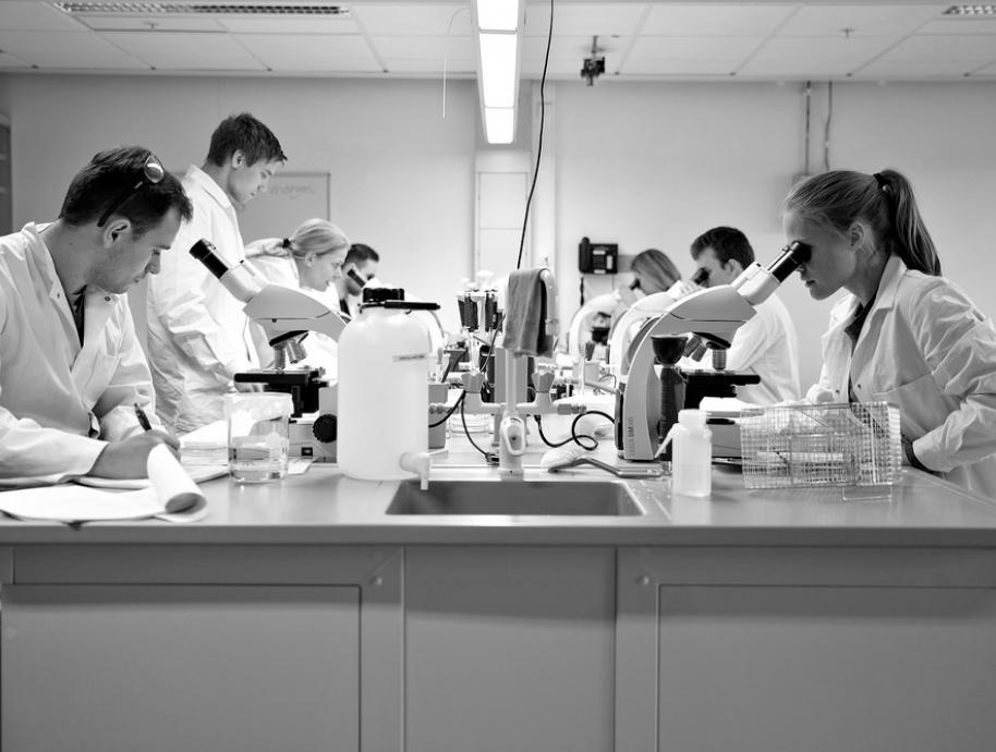 Students looking into a microscope. Foto: Yina Chan/ HiOA
