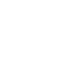 icon internet safety white